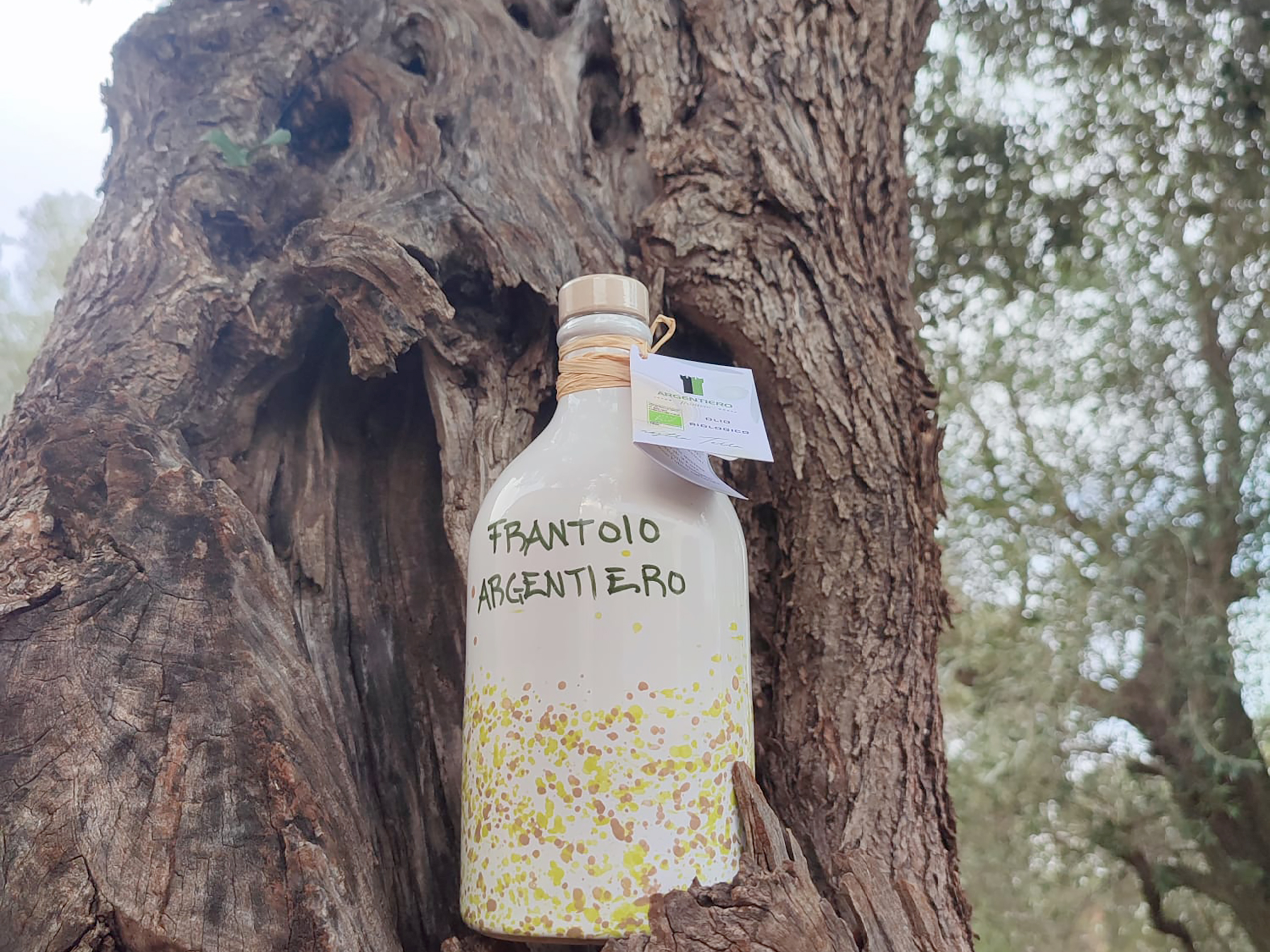olio regalo puglia frantoio argentiero 1